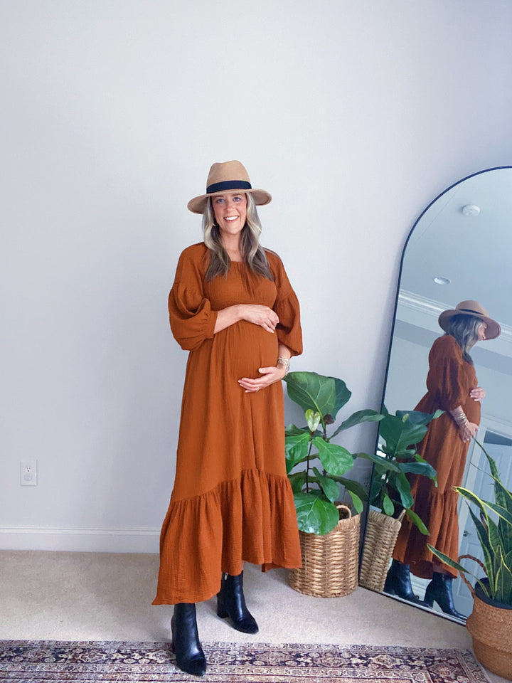 Eliza Maternity and Nursing Dress