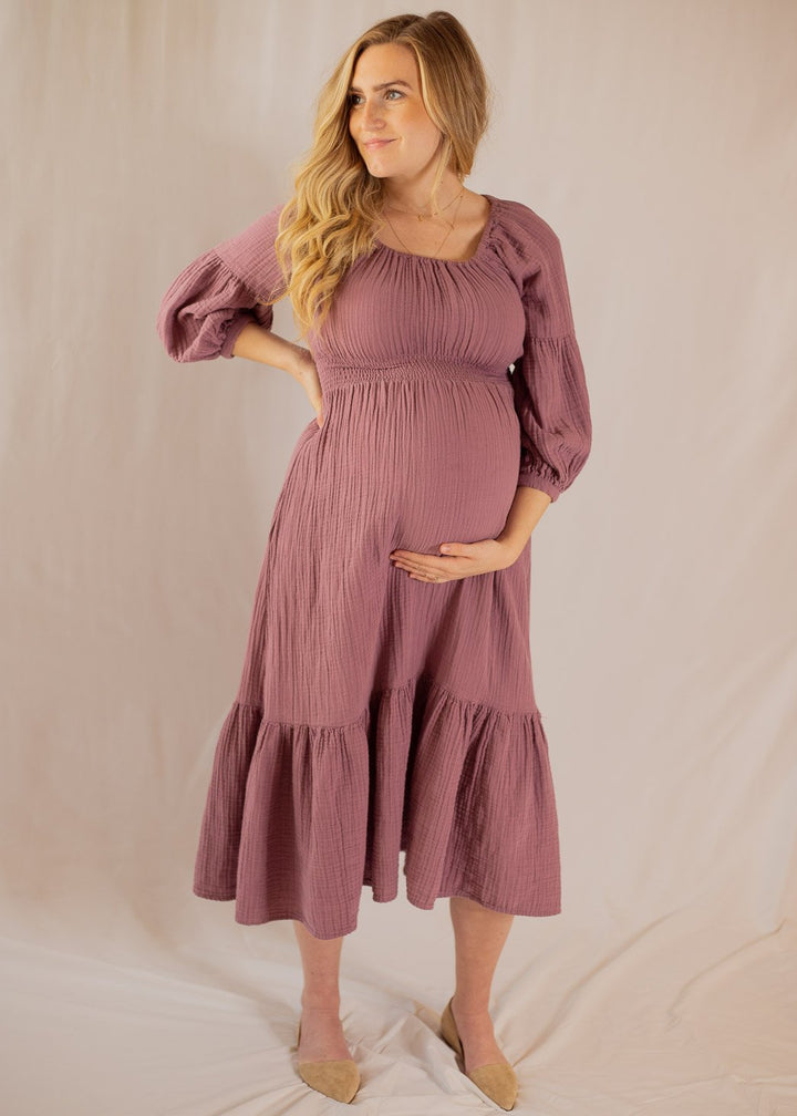 Eliza Maternity and Nursing Dress
