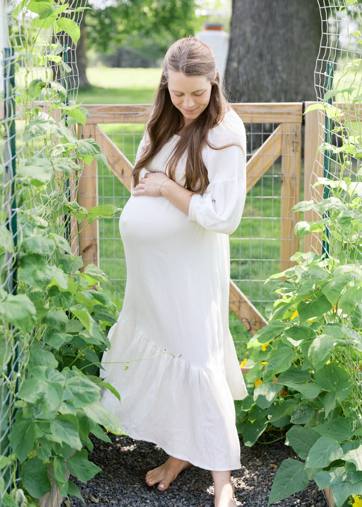 Eliza Maternity and Nursing Dress