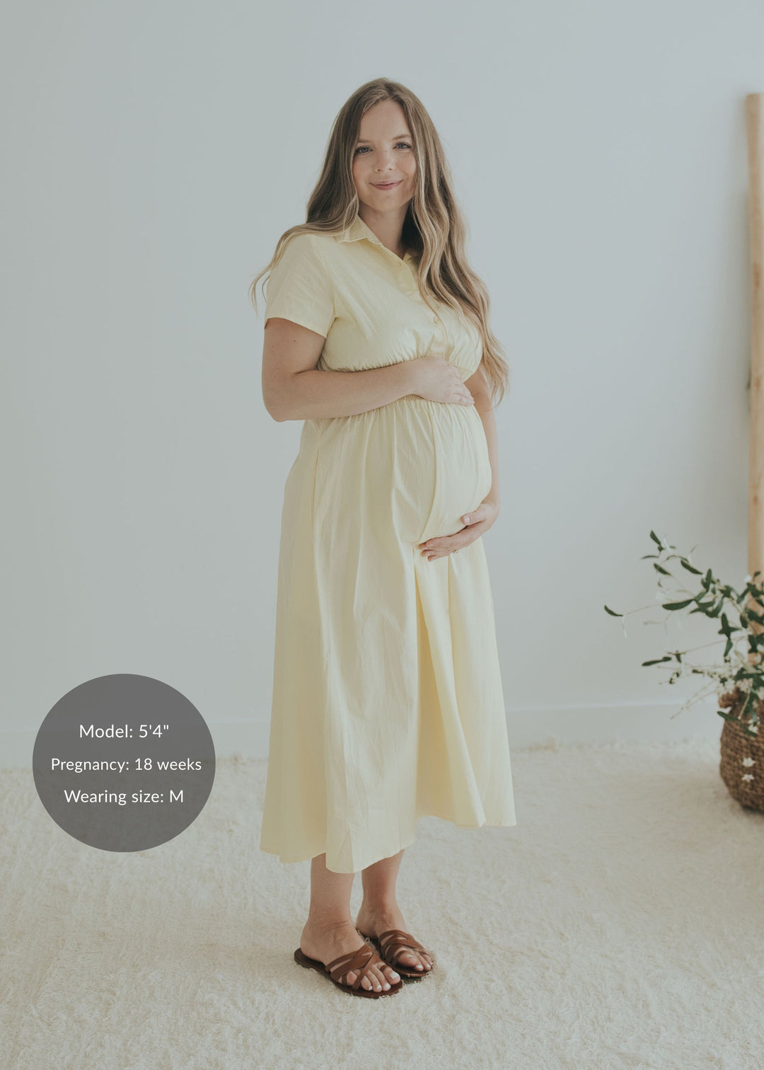 Sarah Shirt Dress in Cotton Poplin
