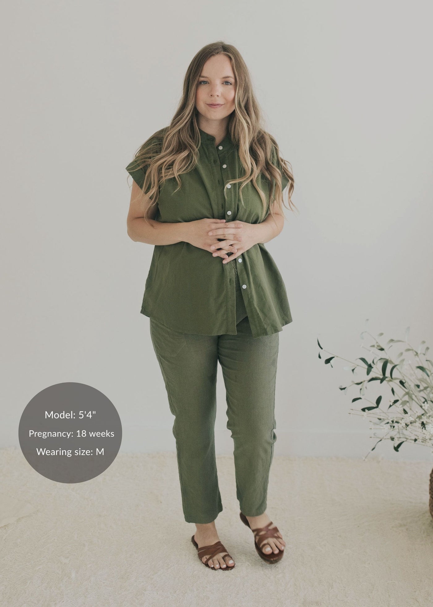 Sunroom Transitional Set in Cotton