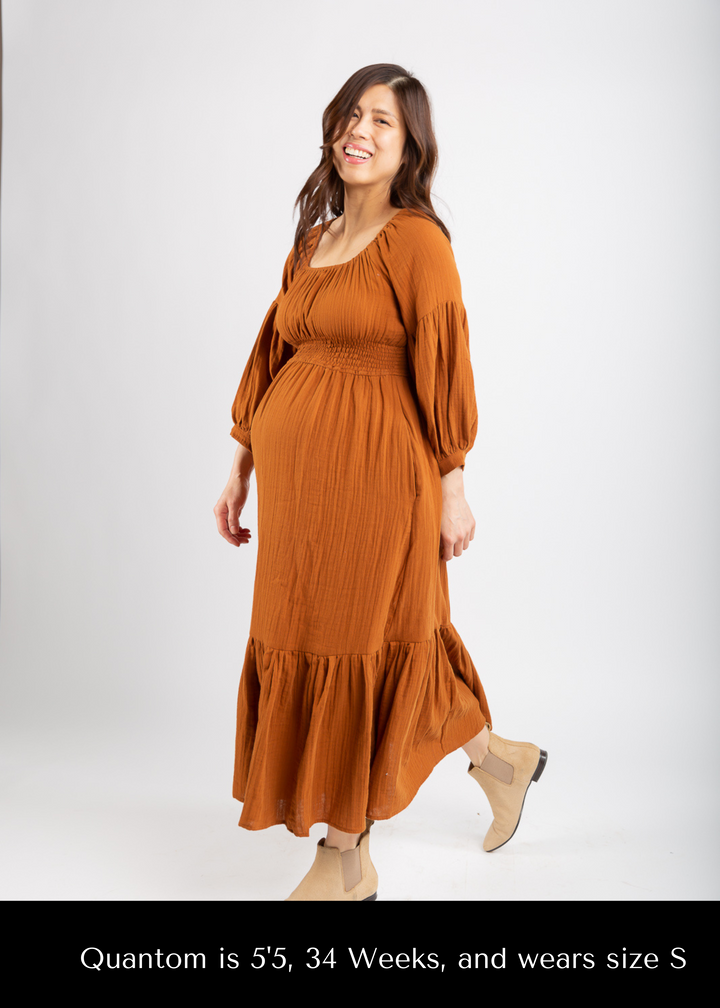 Eliza Maternity and Nursing Dress - Dress