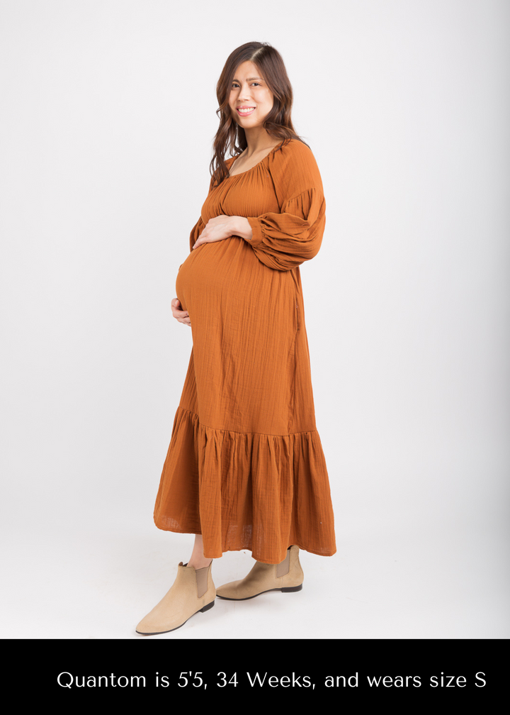 Eliza Maternity and Nursing Dress - Dress